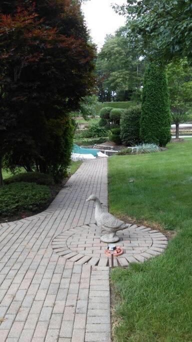 Private Guest Suite On The Portage Lakes Akron Exteriör bild